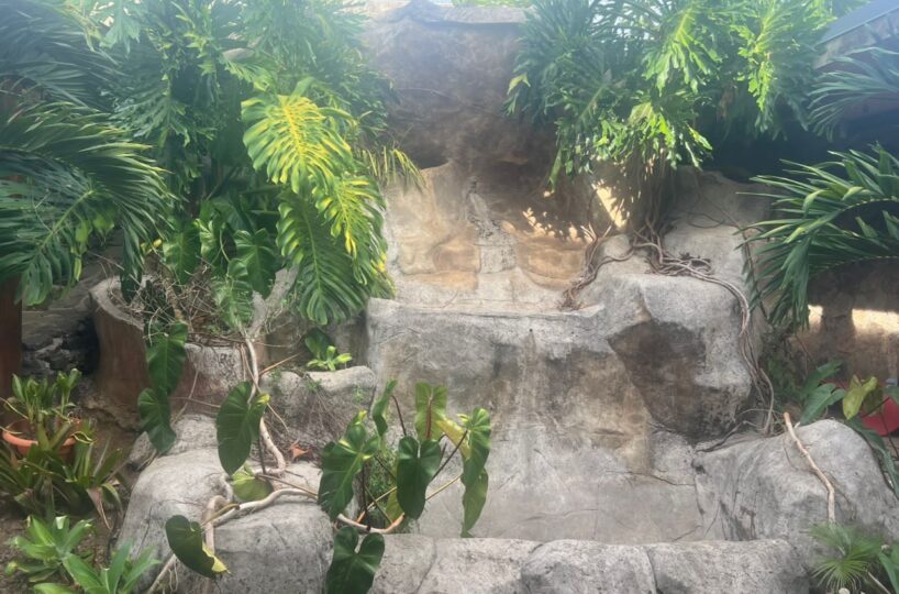 Homes for sale in Atenas Costa Rica