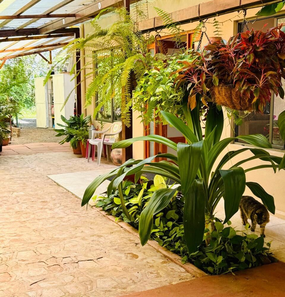 Homes for sale in Atenas Costa Rica