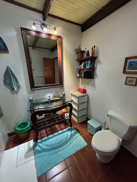 Homes for sale in Atenas Costa Rica