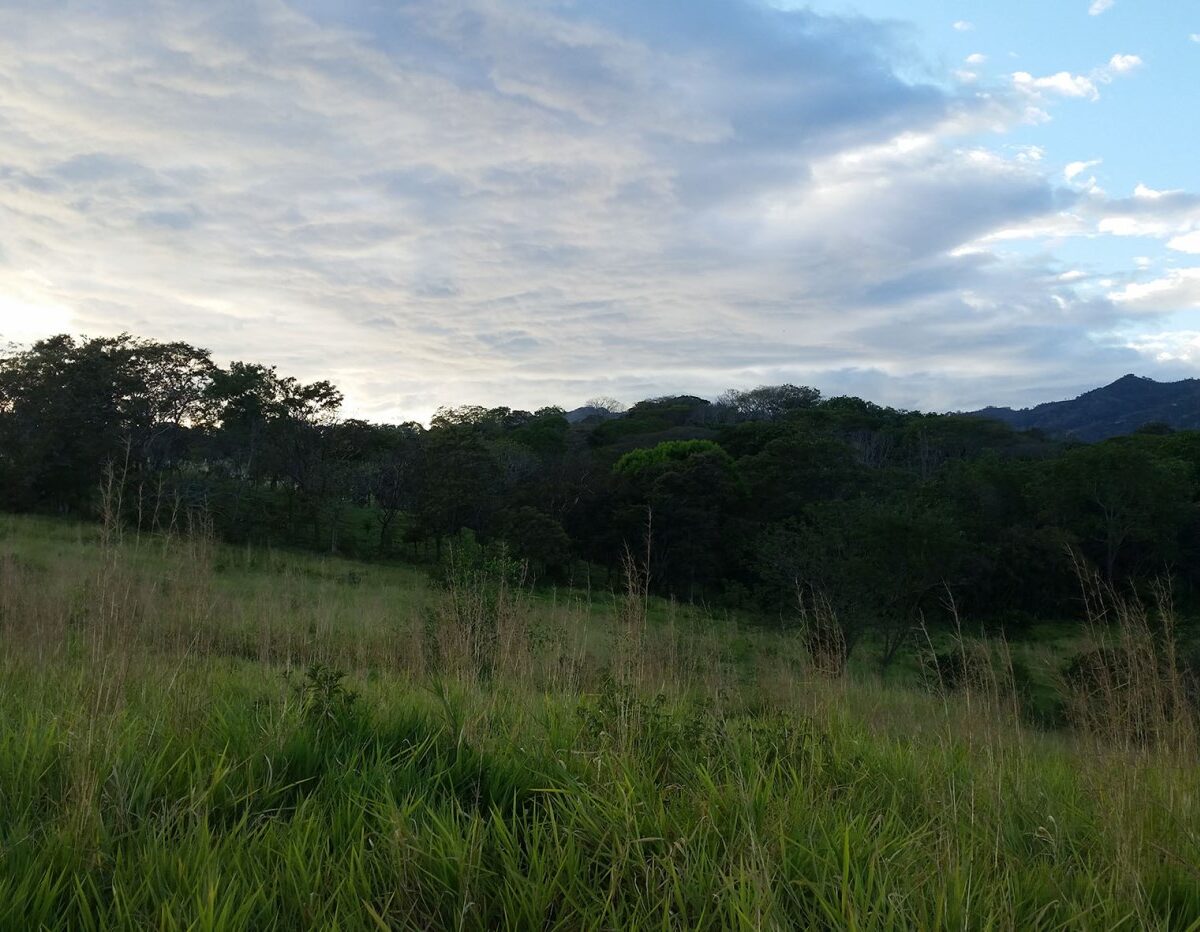 Building Lots for sale in Atenas Costa Rica