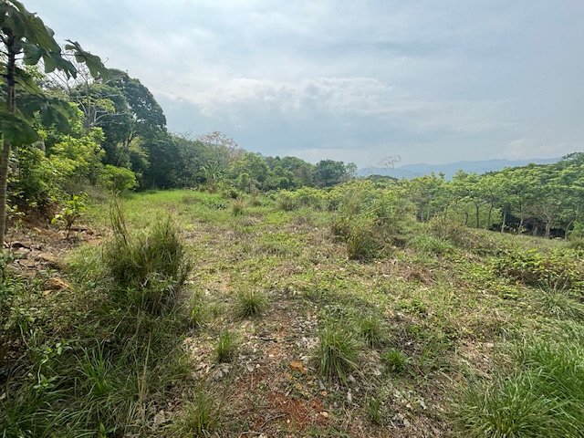 Building Lots for sale in Atenas Costa Rica