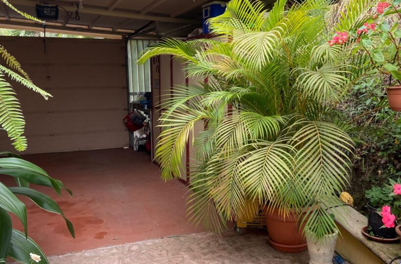 Homes for sale in Atenas Costa Rica