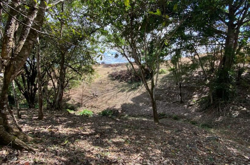 Building Lots for sale in Atenas Costa Rica