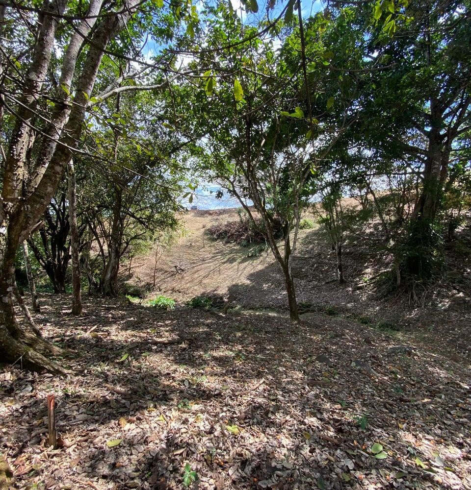 Building Lots for sale in Atenas Costa Rica