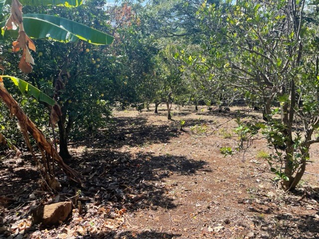 Homes for sale in Atenas Costa Rica