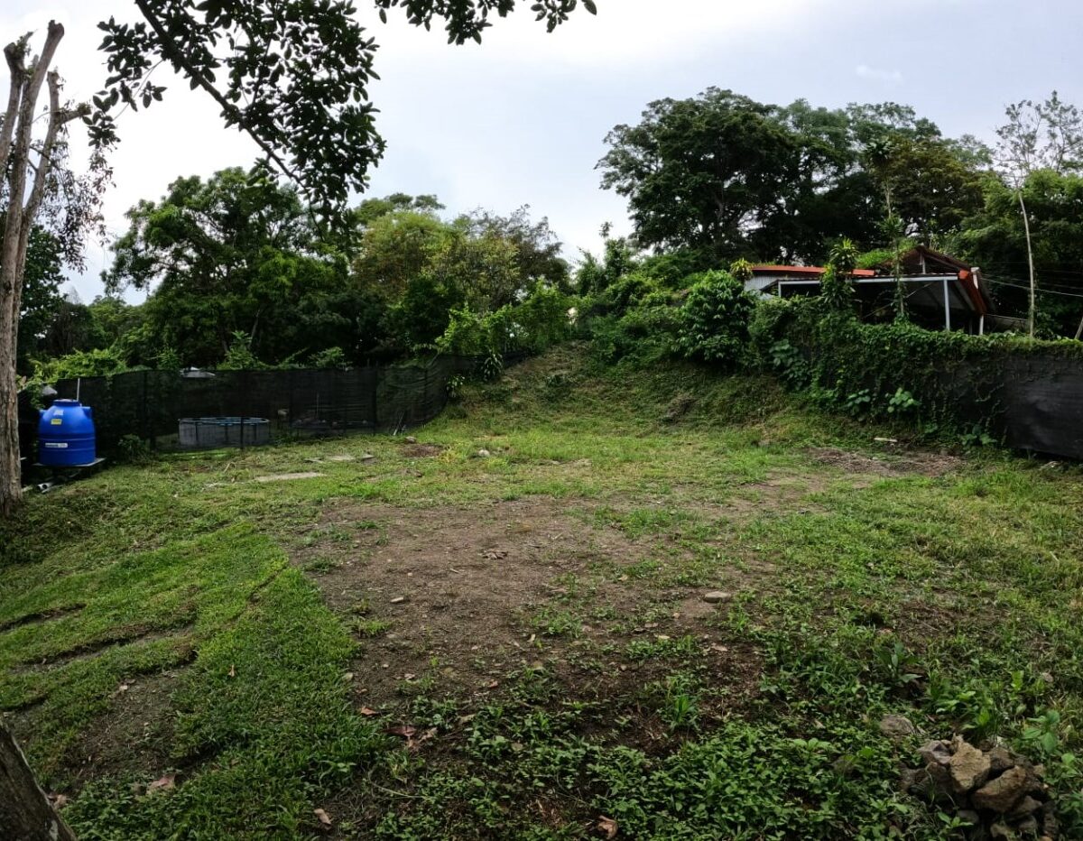 Homes for sale in Atenas Costa Rica