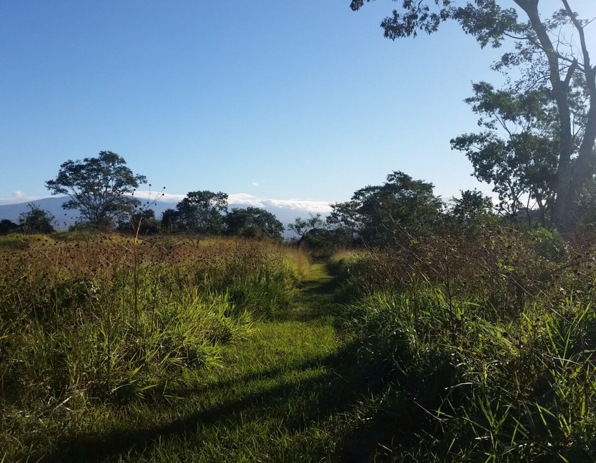 Building Lots for sale in Atenas Costa Rica