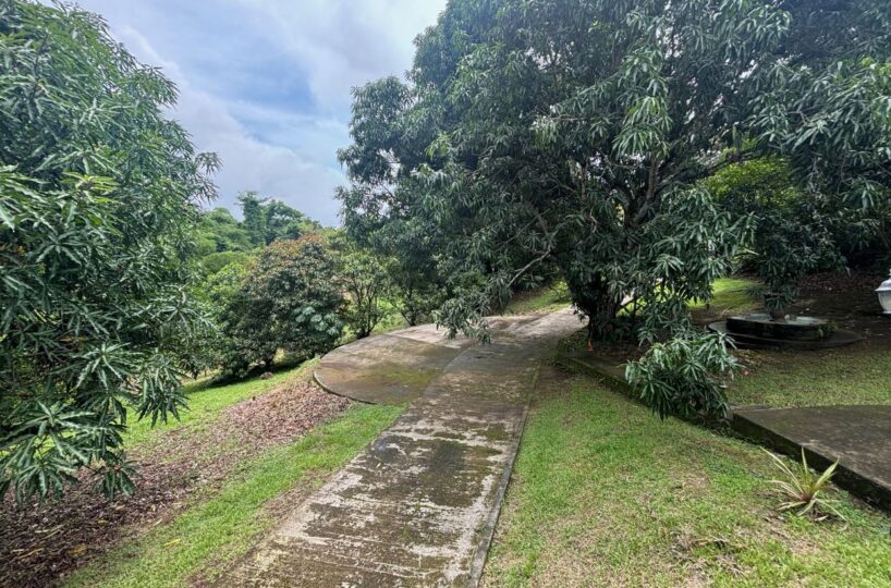 Homes for sale in Atenas Costa Rica