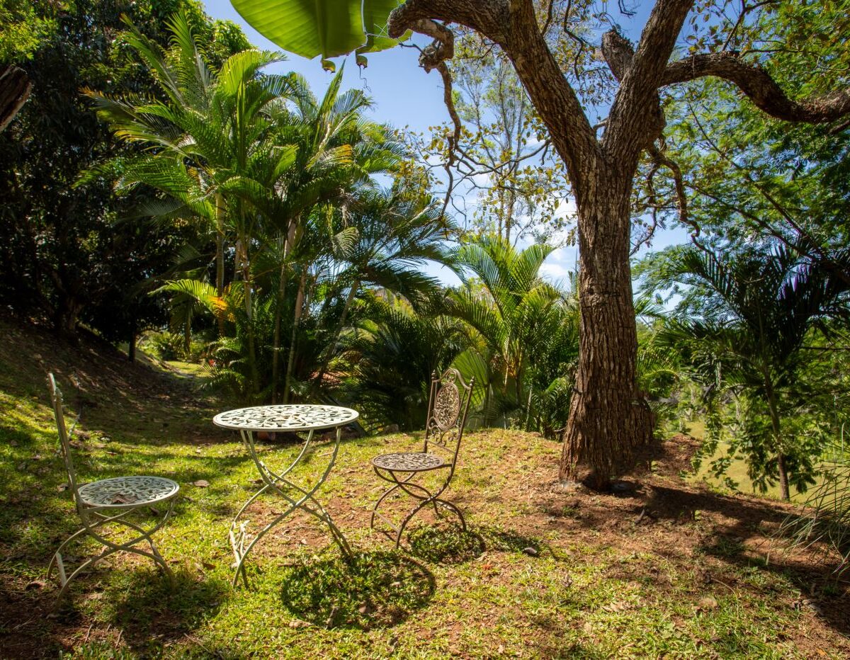 Homes for sale in Atenas Costa Rica