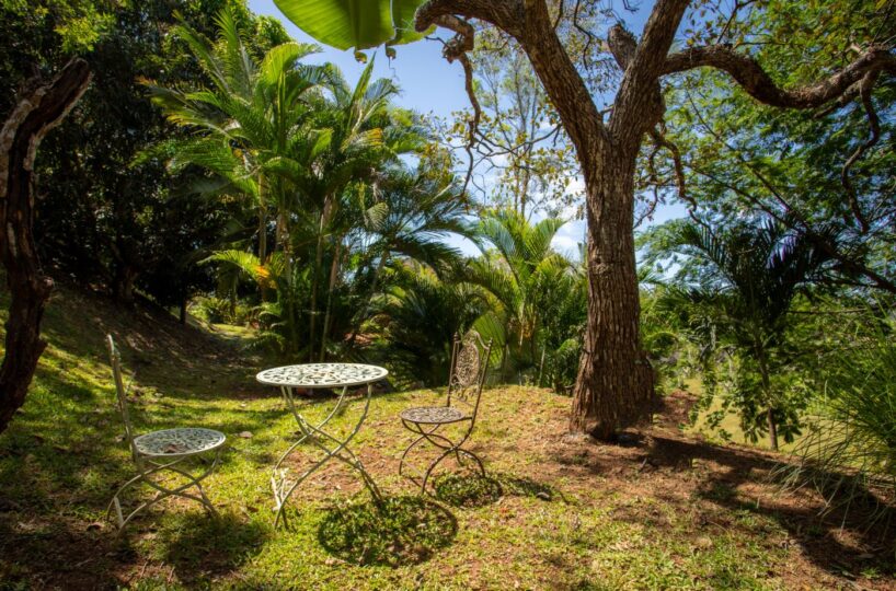 Homes for sale in Atenas Costa Rica