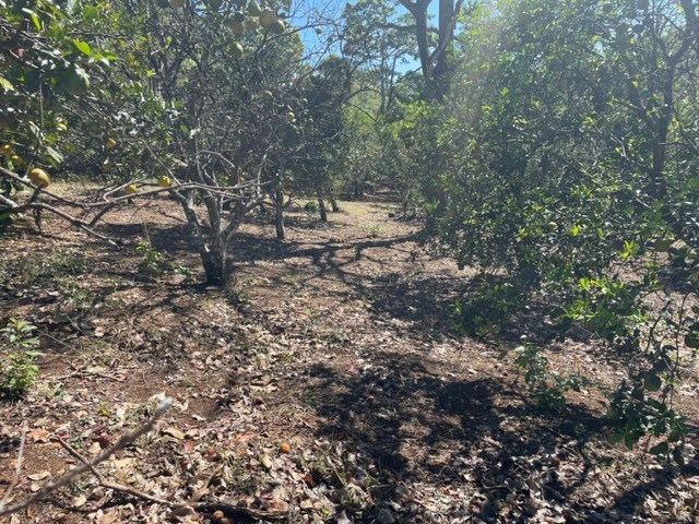 Homes for sale in Atenas Costa Rica