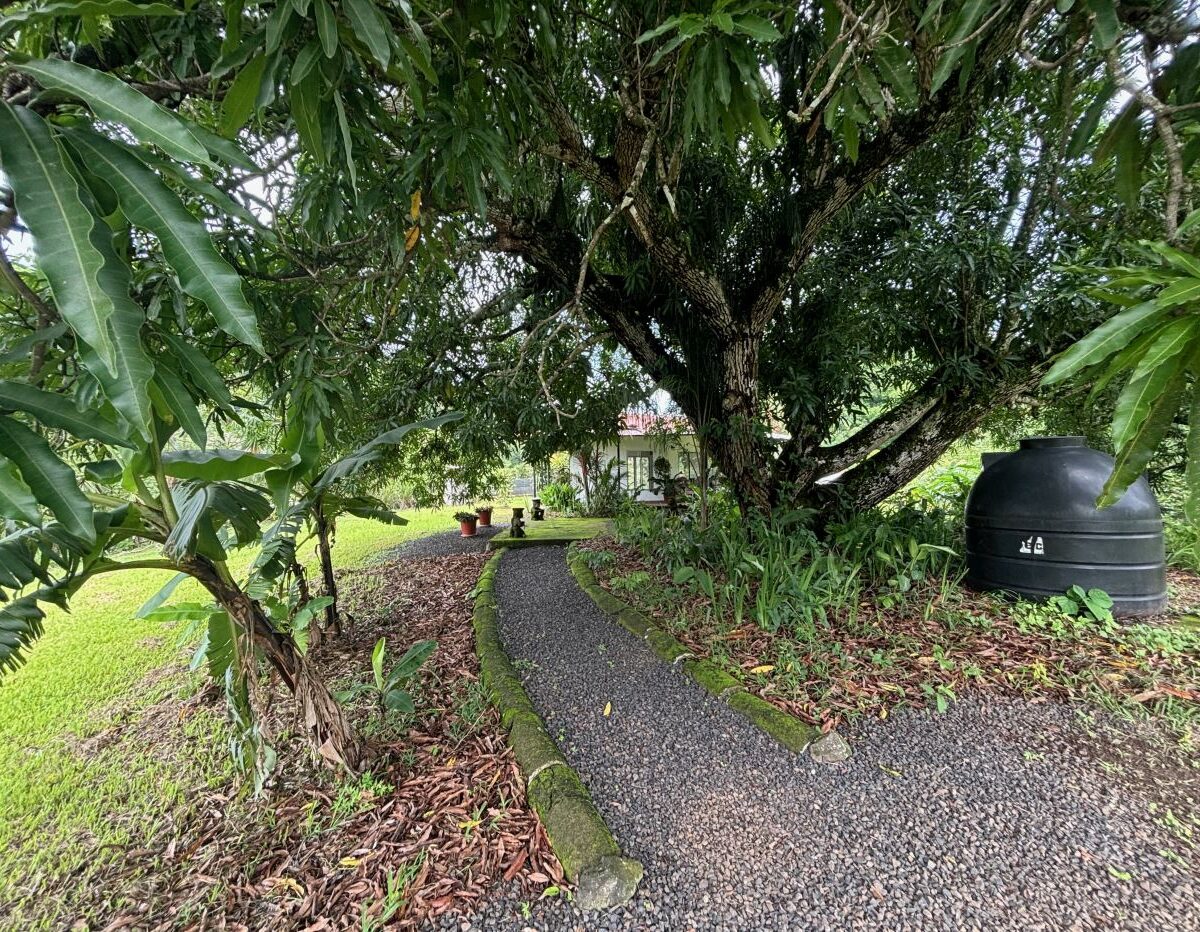 Homes for sale in Atenas Costa Rica