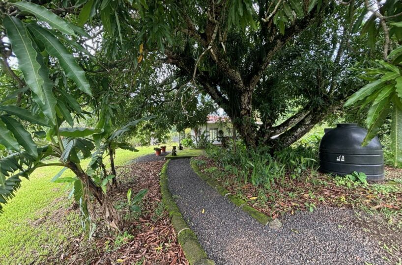 Homes for sale in Atenas Costa Rica