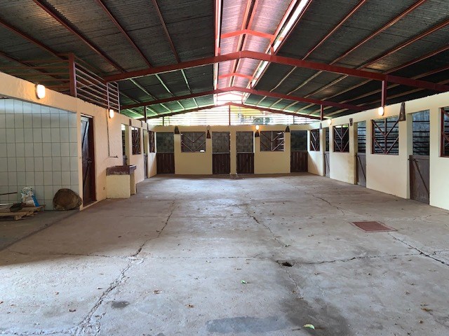 Homes for sale in Atenas Costa Rica