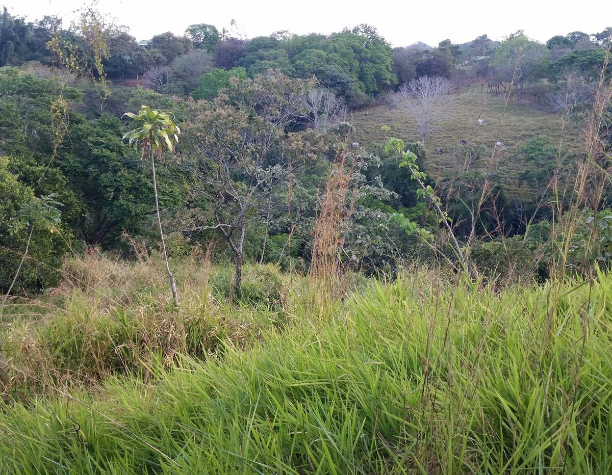Building Lots for sale in Atenas Costa Rica