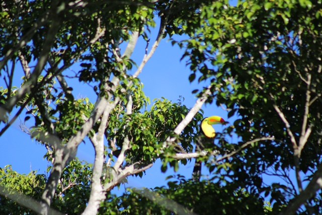 Homes for sale in Atenas Costa Rica