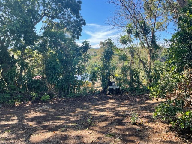 Homes for sale in Atenas Costa Rica