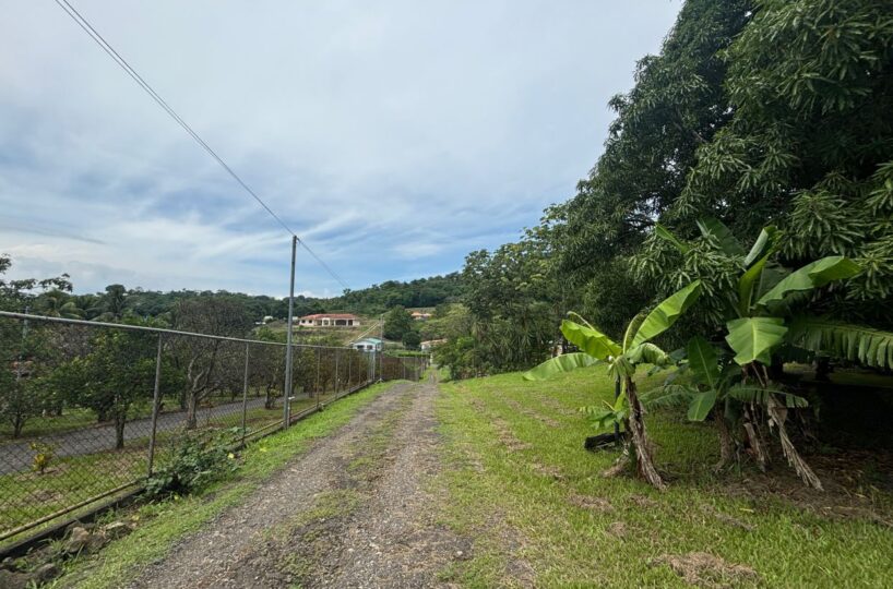Homes for sale in Atenas Costa Rica