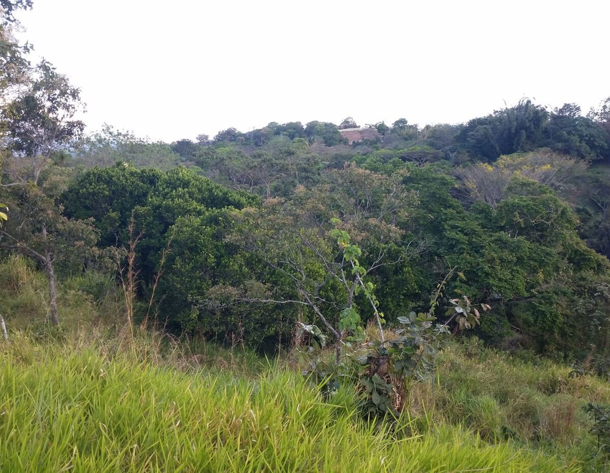 Building Lots for sale in Atenas Costa Rica