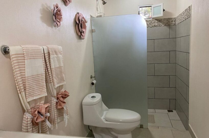 Homes for sale in Atenas Costa Rica