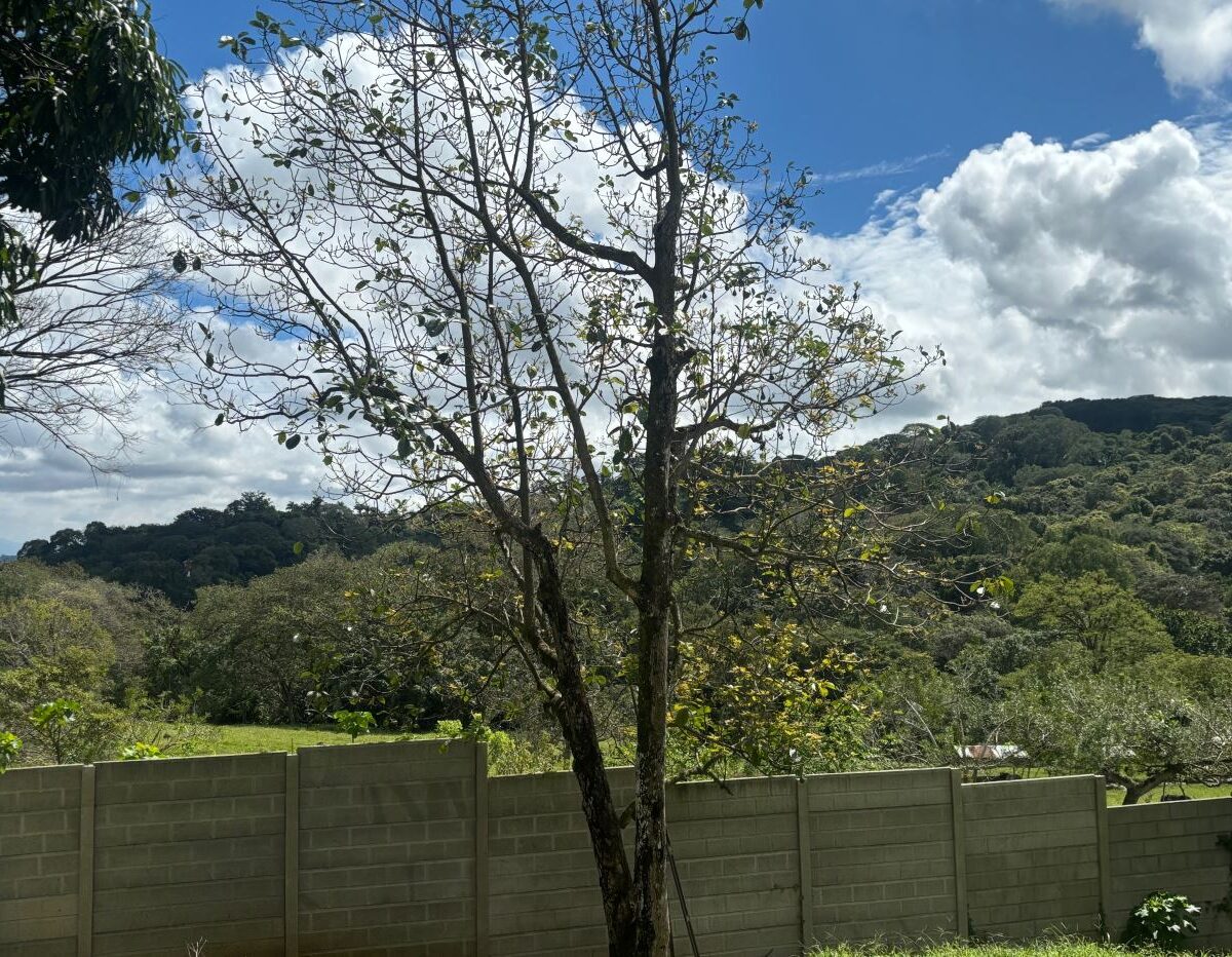 Homes for sale in Atenas Costa Rica