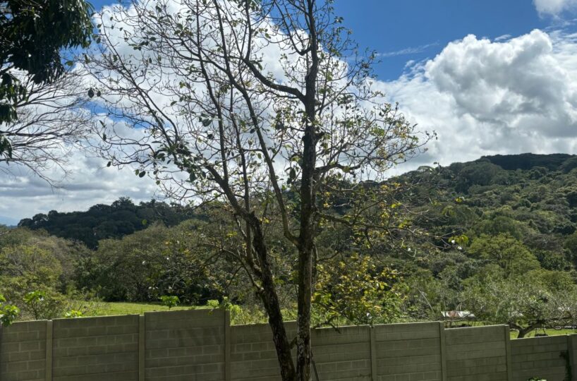 Homes for sale in Atenas Costa Rica