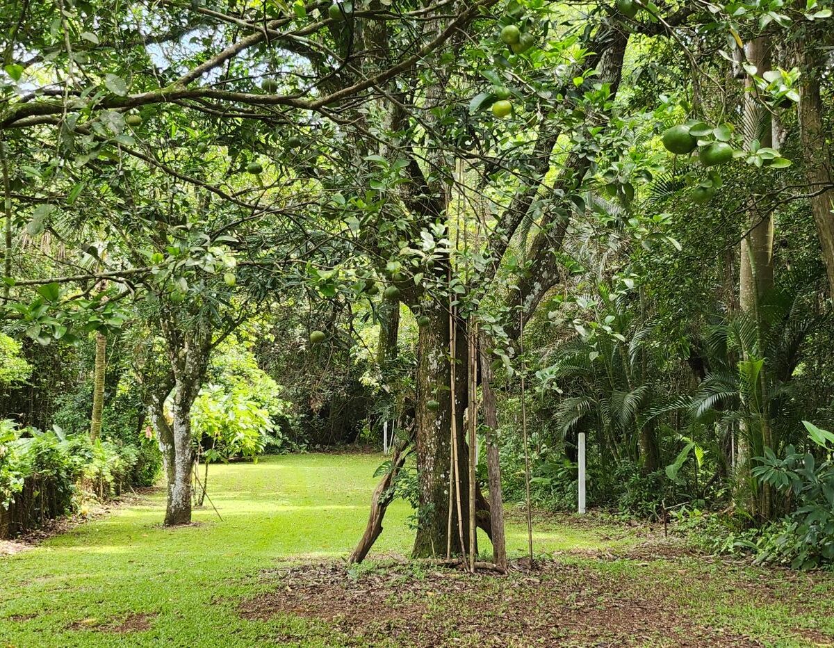 Homes for sale in Atenas Costa Rica