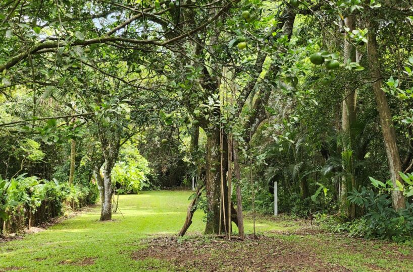 Homes for sale in Atenas Costa Rica