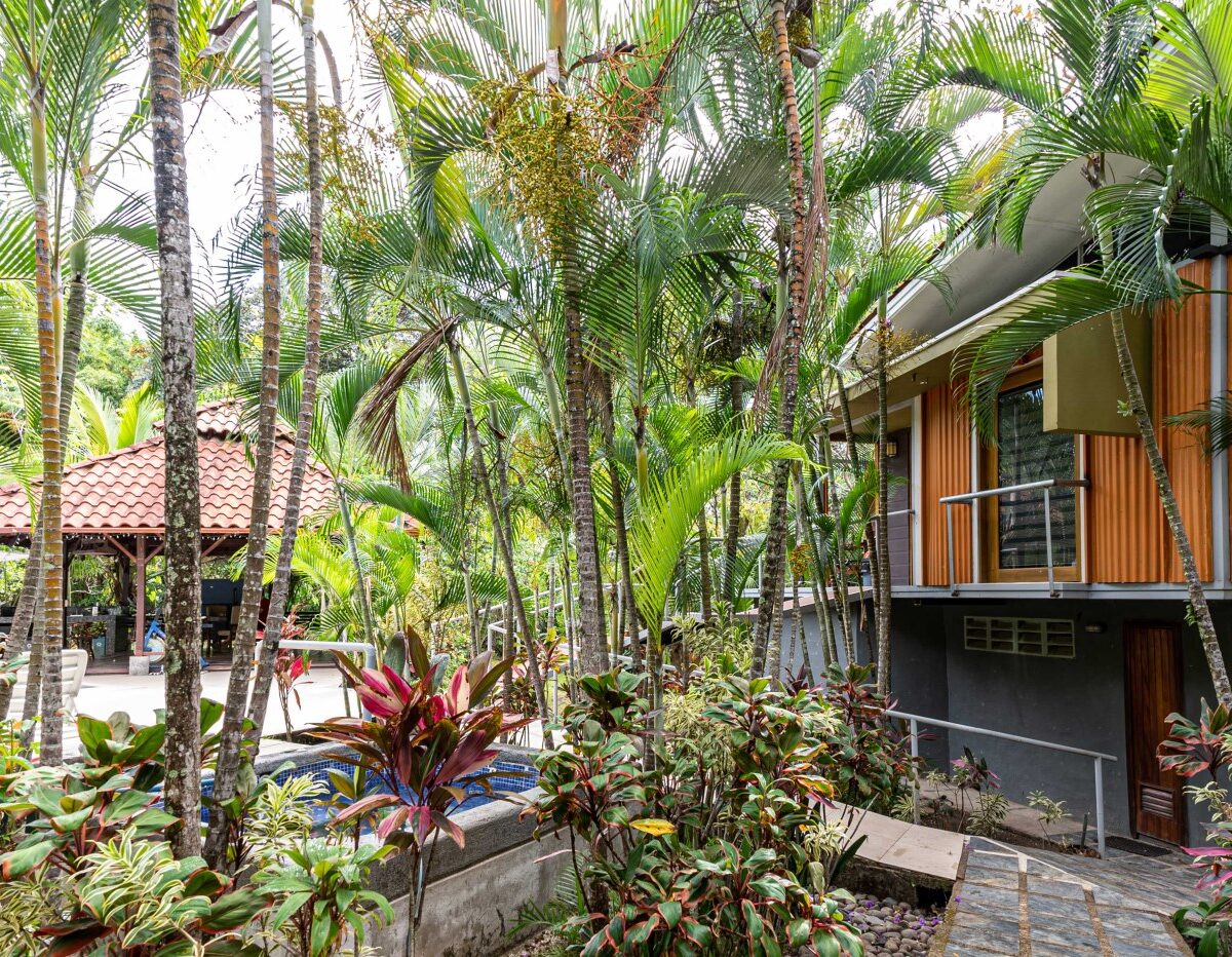 Commercial for sale in Atenas Costa Rica