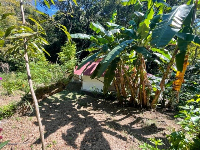 Homes for sale in Atenas Costa Rica