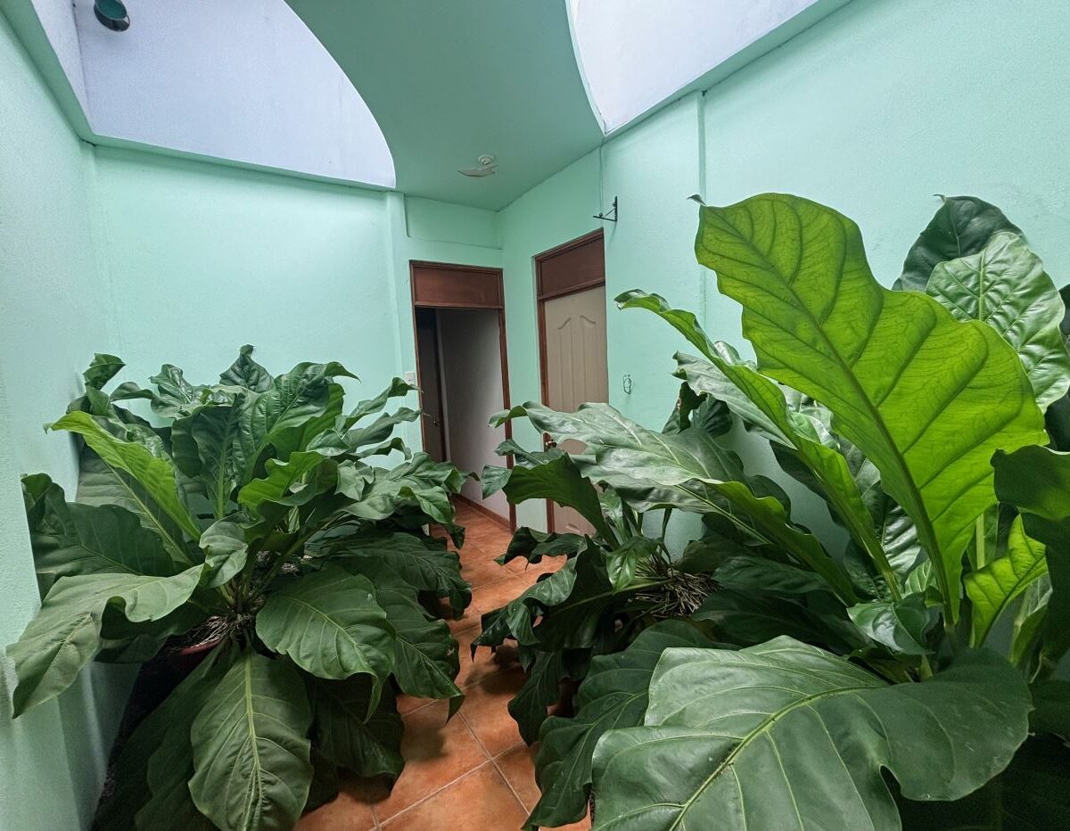 Homes for sale in Atenas Costa Rica