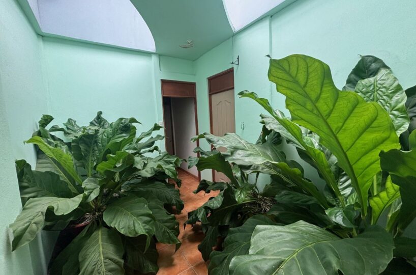 Homes for sale in Atenas Costa Rica