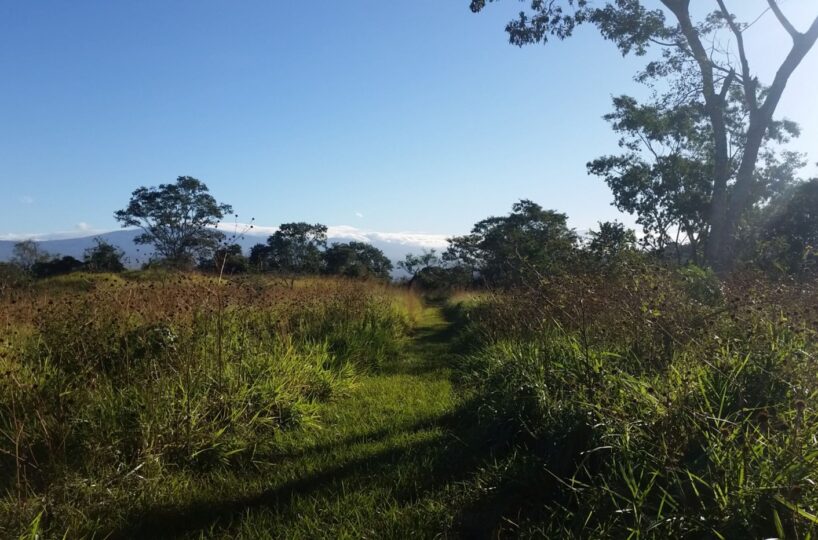 Building Lots for sale in Atenas Costa Rica