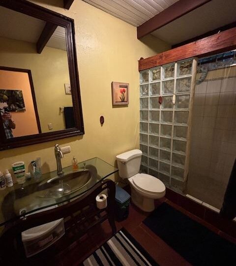 Homes for sale in Atenas Costa Rica