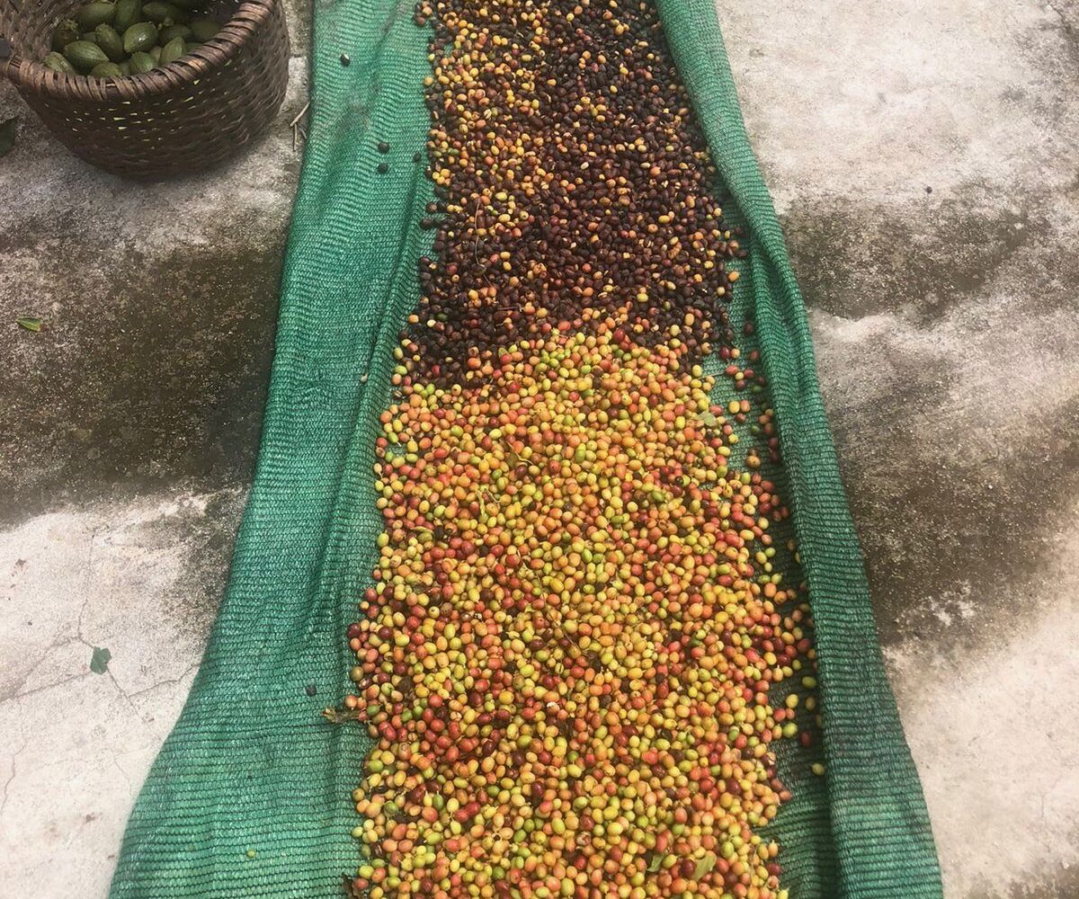 Homes for sale in Atenas Costa Rica