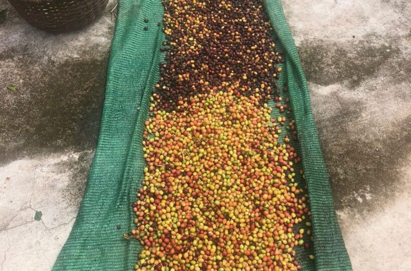 Homes for sale in Atenas Costa Rica