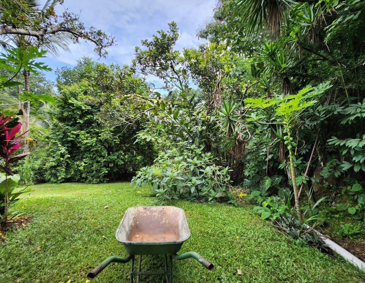 Homes for sale in Atenas Costa Rica