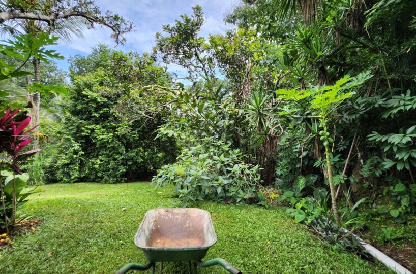 Homes for sale in Atenas Costa Rica