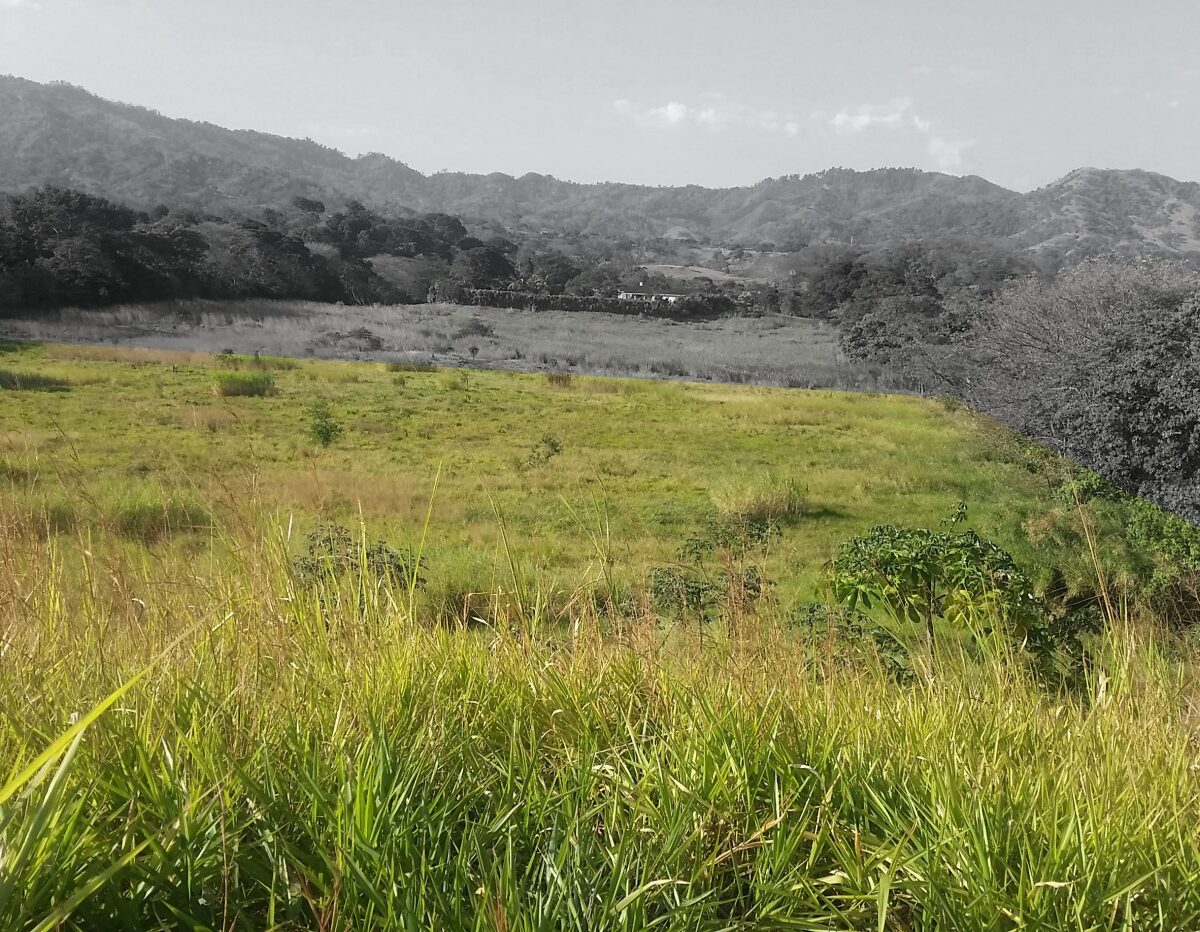 Building Lots for sale in Atenas Costa Rica