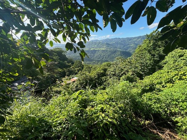 Homes for sale in Atenas Costa Rica