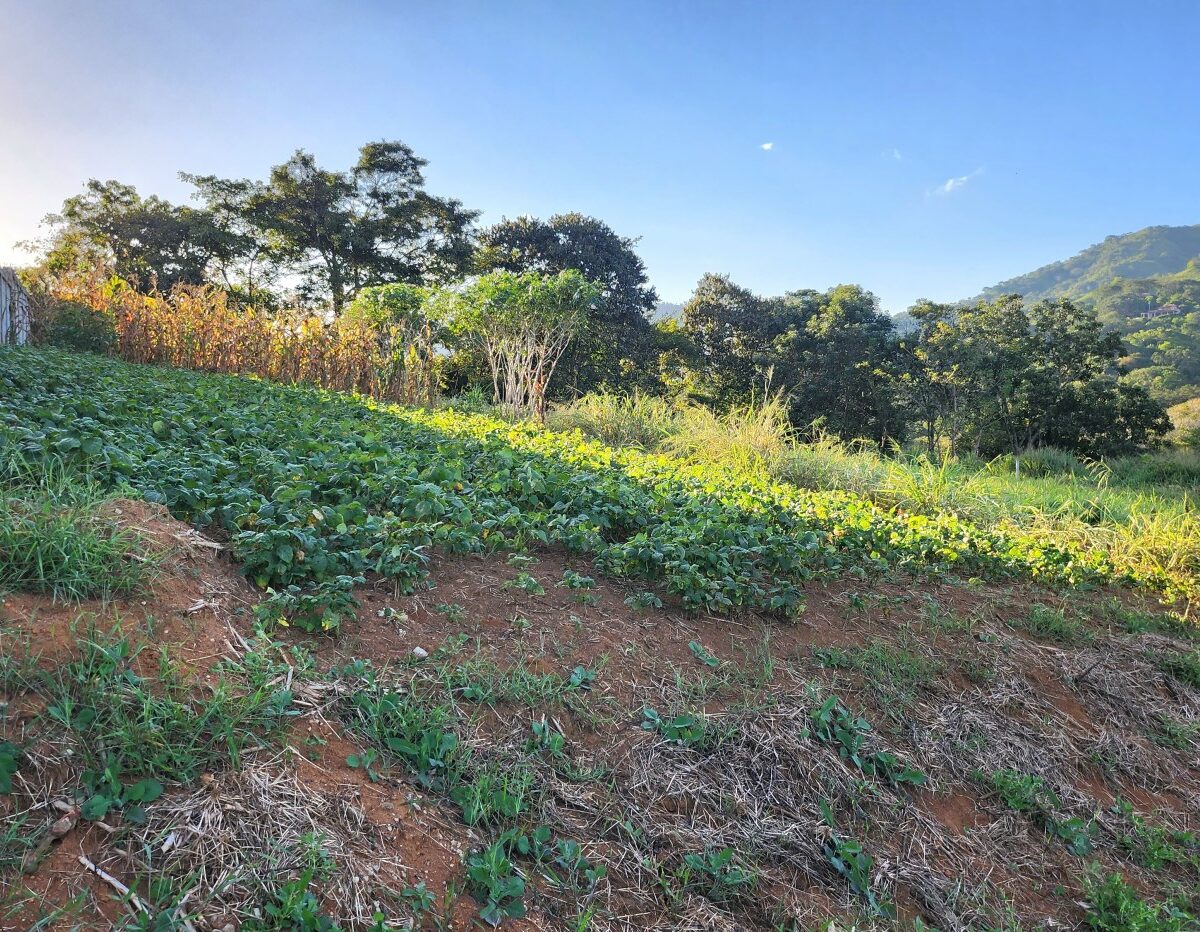 Building Lots for sale in Atenas Costa Rica