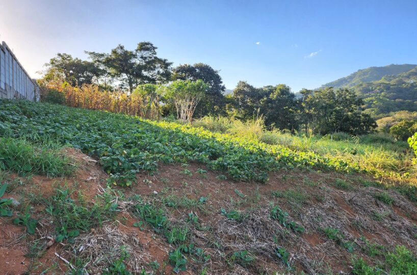 Building Lots for sale in Atenas Costa Rica