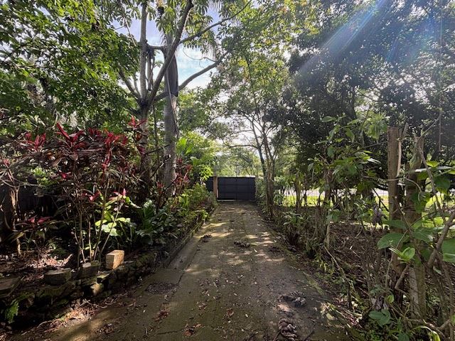 Homes for sale in Atenas Costa Rica