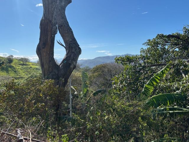 Building Lots for sale in Atenas Costa Rica