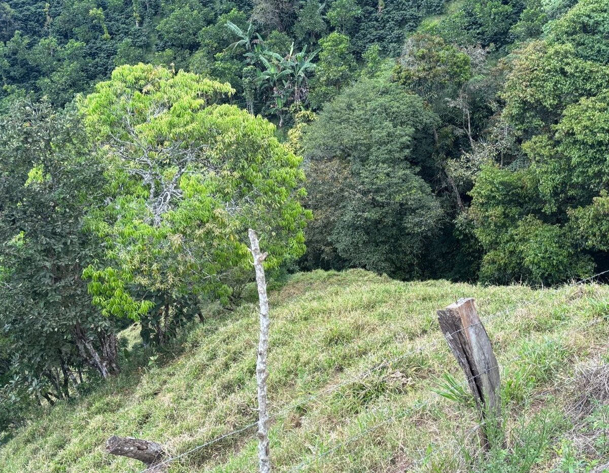 Homes for sale in Atenas Costa Rica