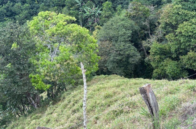 Homes for sale in Atenas Costa Rica