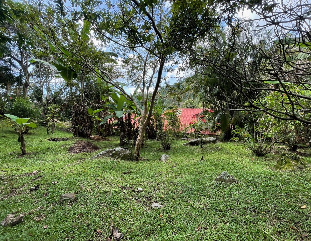 Homes for sale in Atenas Costa Rica