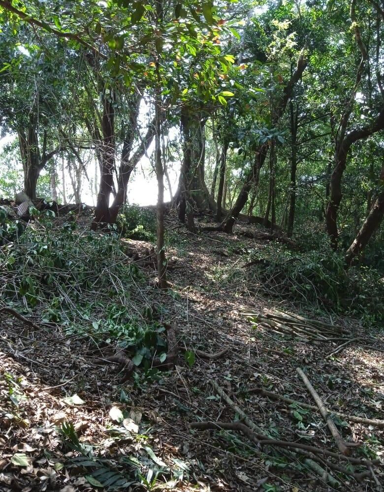 Building Lots for sale in Atenas Costa Rica