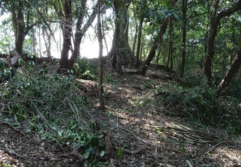 Building Lots for sale in Atenas Costa Rica