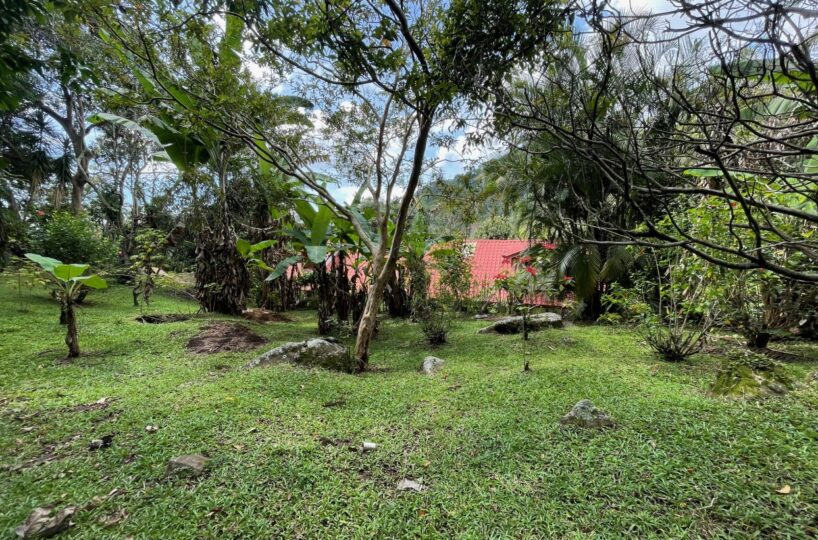 Homes for sale in Atenas Costa Rica